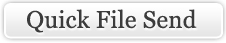 send file for transcription services